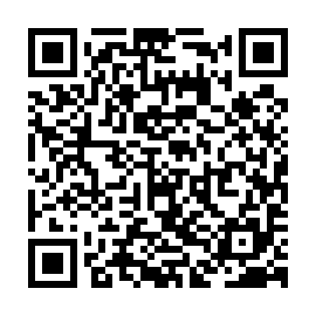 QR code for ZDE595