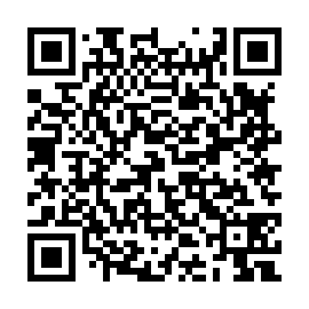 QR code for ZDE838