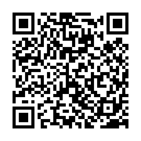 QR code for ZDI411