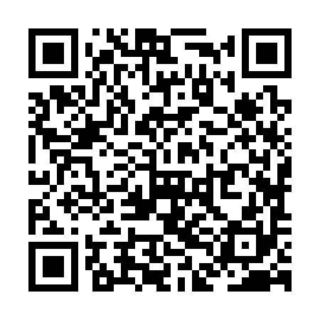 QR code for ZDJ390