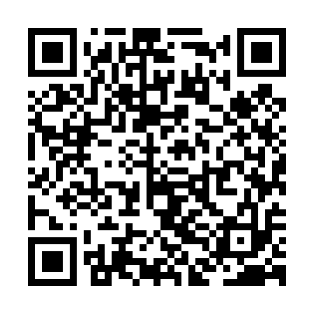 QR code for ZDM413