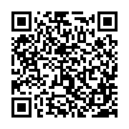 QR code for ZDN386