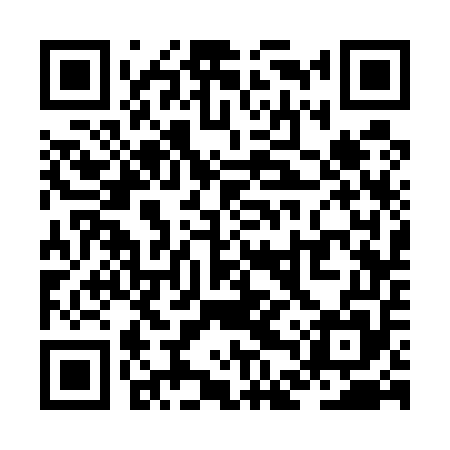 QR code for ZDS555