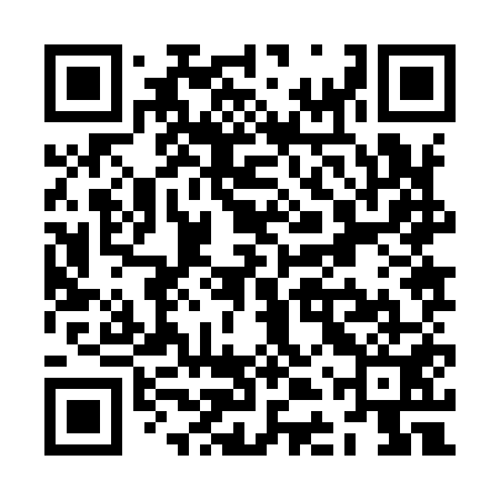 QR code for ZDZ951