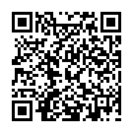 QR code for ZEN386