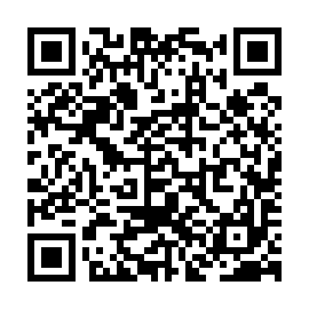 QR code for ZFF597