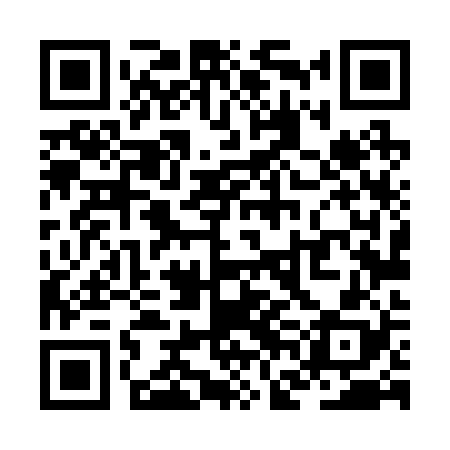 QR code for ZFL228