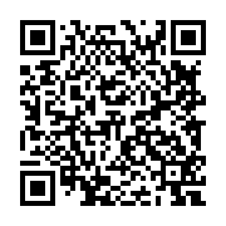 QR code for ZFL813
