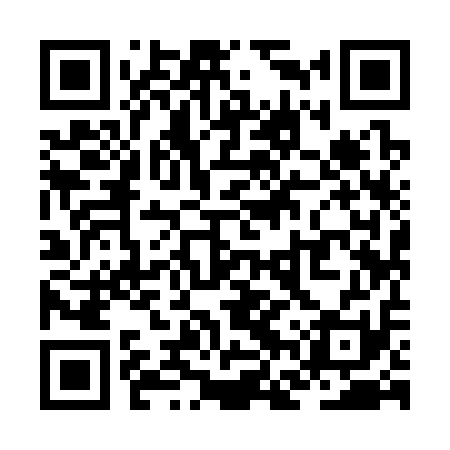 QR code for ZFY311