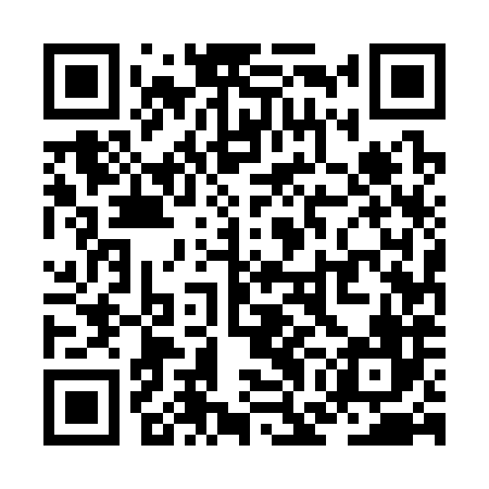 QR code for ZGE386