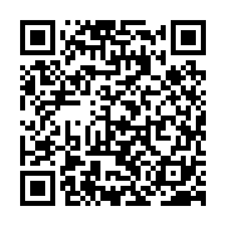 QR code for ZGI271