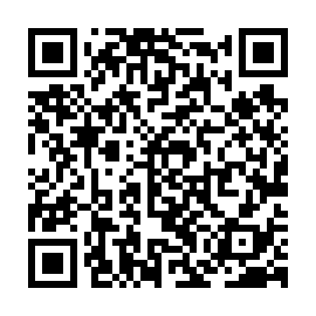 QR code for ZGL638