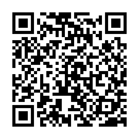 QR code for ZGM389