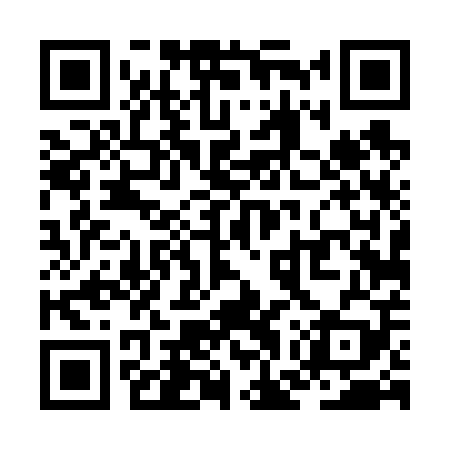 QR code for ZGT609