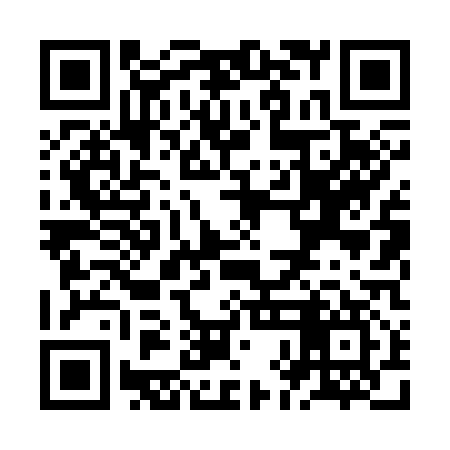 QR code for ZHL317