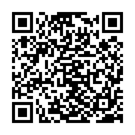QR code for ZHN517