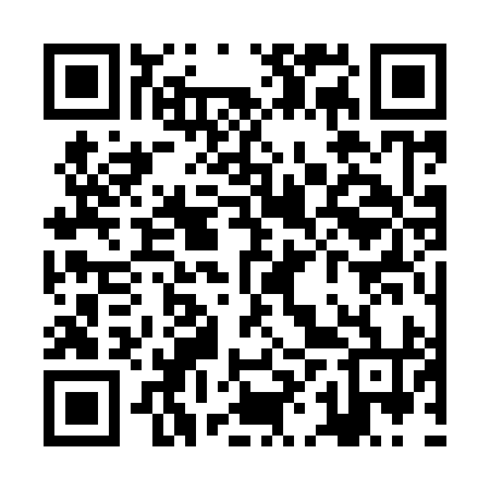 QR code for ZHS994