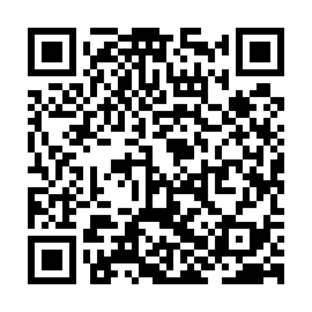 QR code for ZHY539