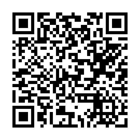 QR code for ZIG656
