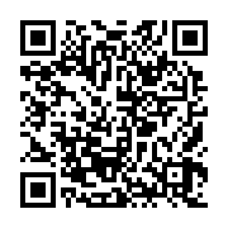 QR code for ZII368