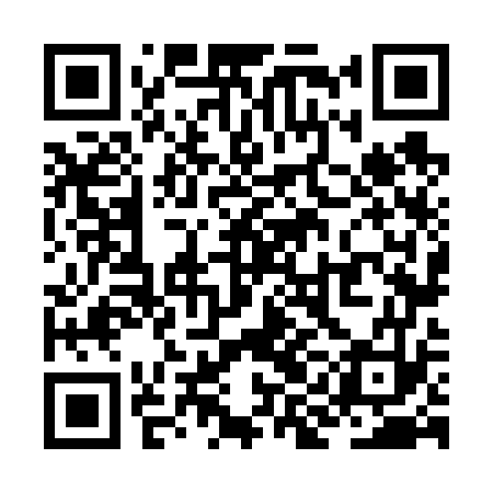 QR code for ZIN673