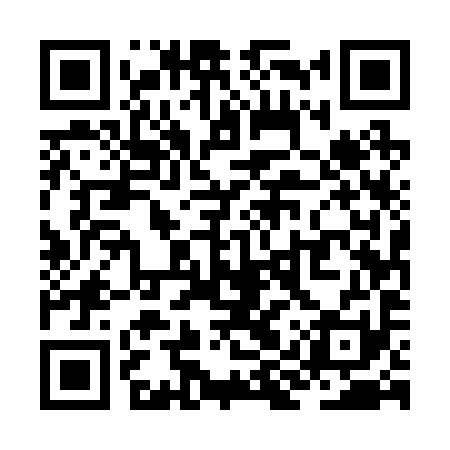 QR code for ZIU291