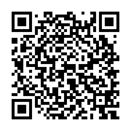 QR code for ZIU398