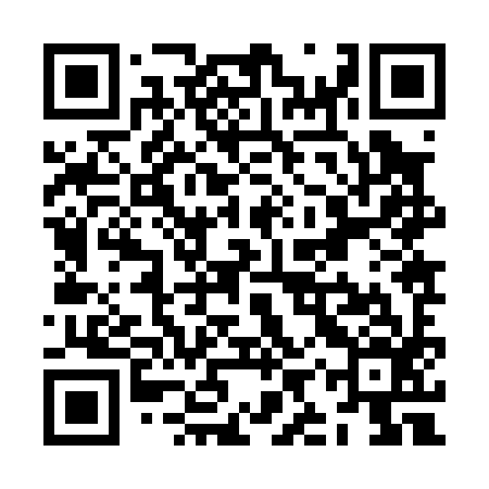 QR code for ZIZ096