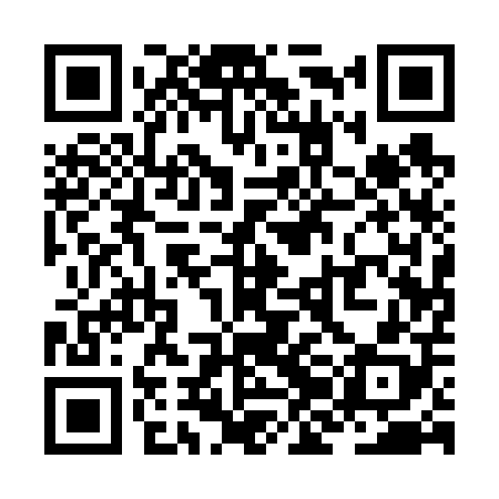 QR code for ZJA608