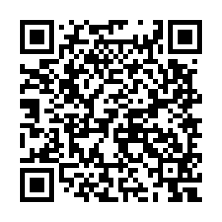 QR code for ZJJ593