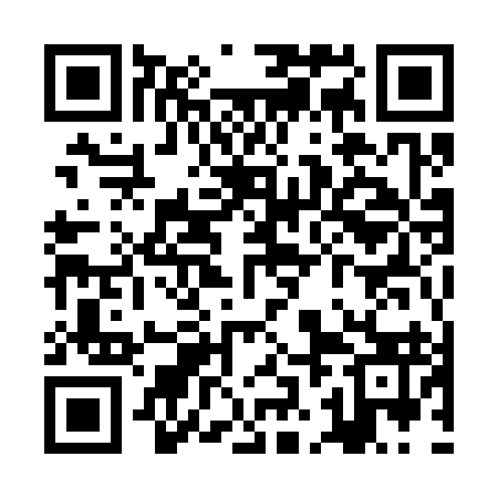 QR code for ZJM393