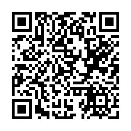 QR code for ZJP377