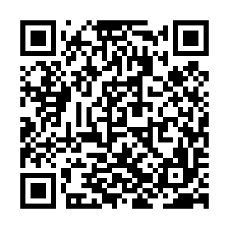 QR code for ZJU496