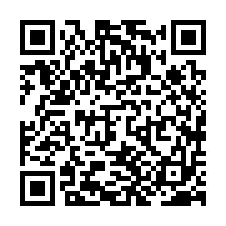QR code for ZKH313