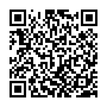 QR code for ZKN011