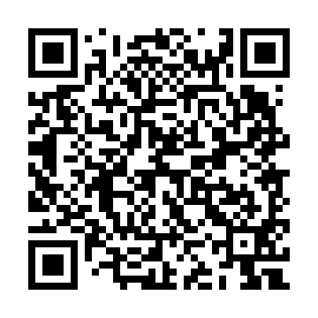QR code for ZKP691