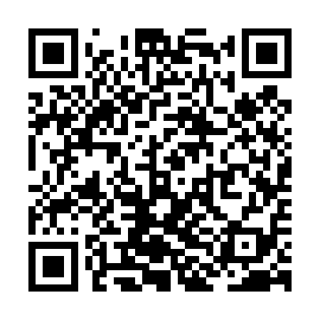 QR code for ZLC419