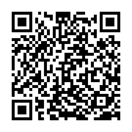 QR code for ZLD228