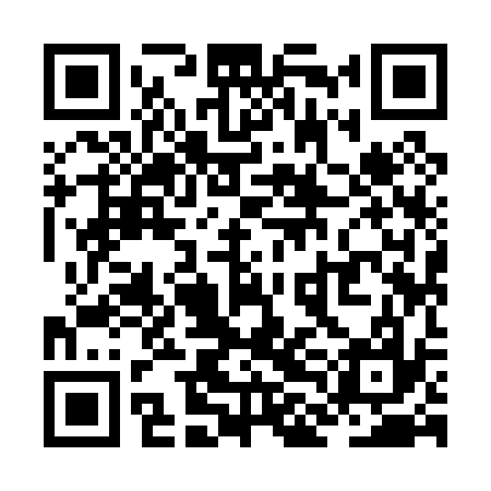 QR code for ZLI037