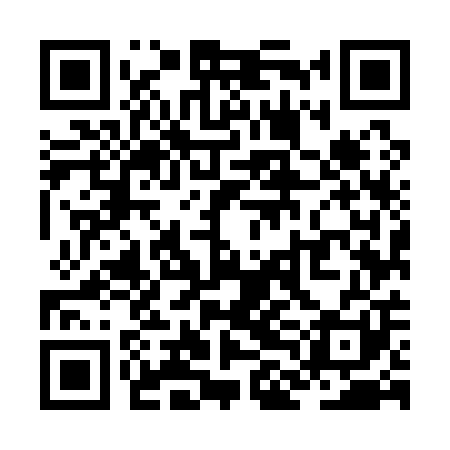 QR code for ZLM101