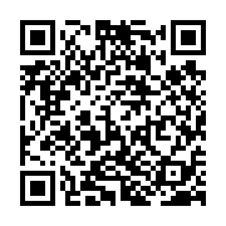 QR code for ZLM619