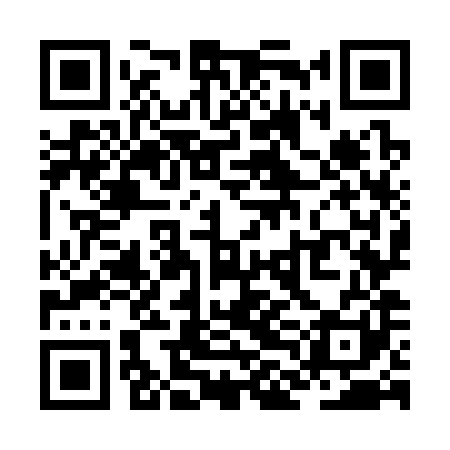 QR code for ZLO381