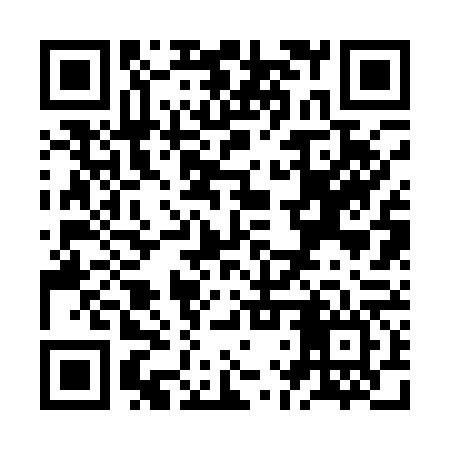 QR code for ZLR166