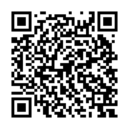 QR code for ZLR203