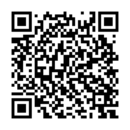 QR code for ZLS346