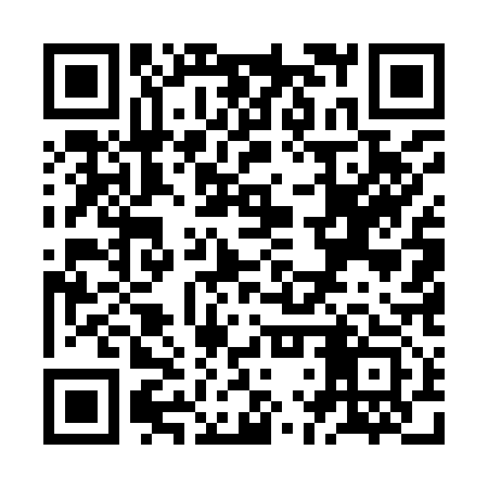 QR code for ZLU913