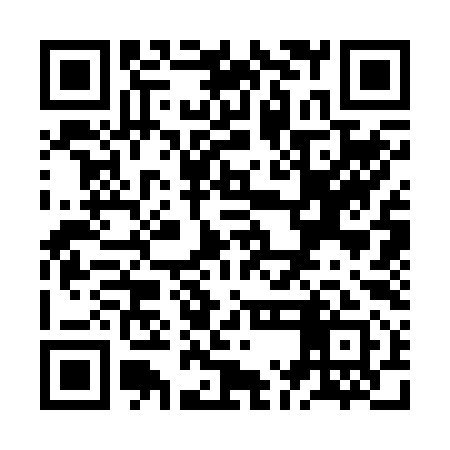 QR code for ZMC291