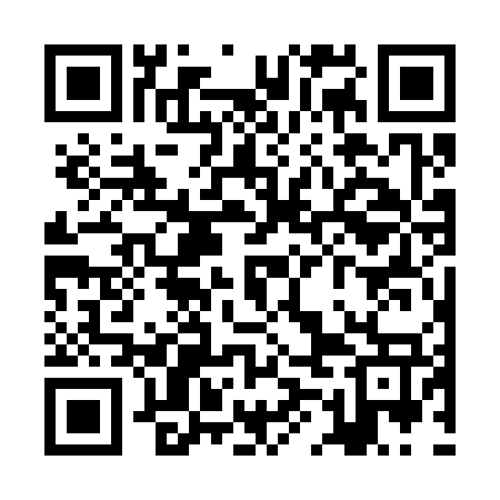 QR code for ZMG377