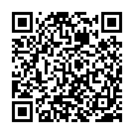 QR code for ZMI293