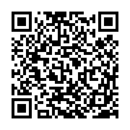QR code for ZMJ463